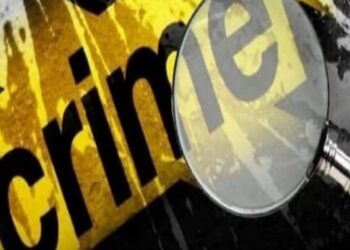 वर्ध्यात 11 कवट्या आणि 54 हाडं सापडल्यामुळे खळबळ