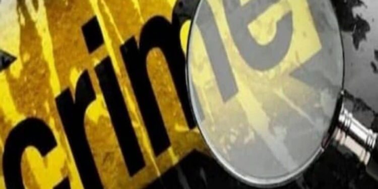 वर्ध्यात 11 कवट्या आणि 54 हाडं सापडल्यामुळे खळबळ