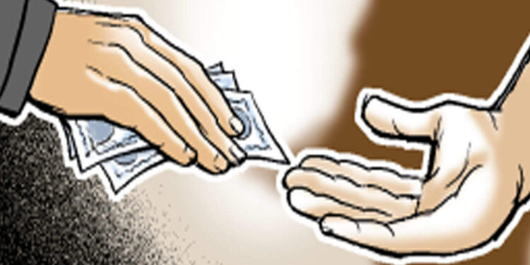 जामनेर पंसच्या कनिष्ठ लिपीकाला लाच घेतांना अटक