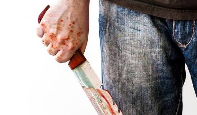 चिंचोली येथे चॉपरने वार ; दोन गंभीर जखमी