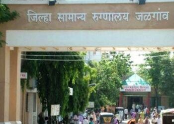 डिसेंबर महिन्यात  प्राण्यांच्या चाव्यांवर ३६४ जणांना  इंजेक्शन