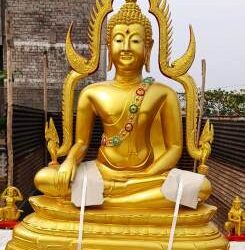 जळगाव शहरात प्रथमच भव्य बुध्दमुर्तीची होणार स्थापना