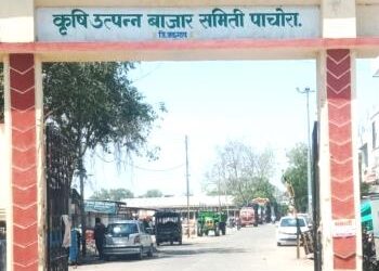 पाचोरा-भडगाव कृउबा निवडणुकीसाठी २३४ नामांकन