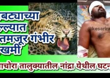 बिबट्याच्या हल्ल्यात शेतमजूर गंभीर जखमी