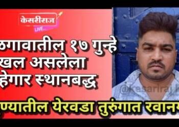 जळगावातील १७ गुन्हे दाखल असलेला गुन्हेगार स्थानबद्ध