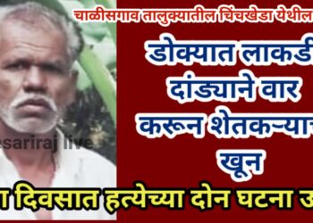 डोक्यात लाकडी दांड्याने वार करून शेतकऱ्याचा खून