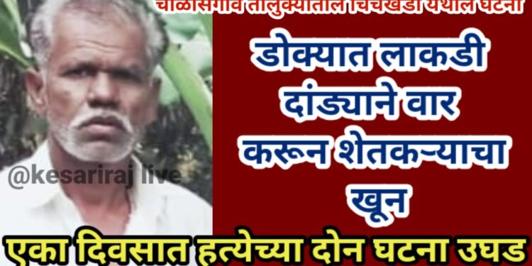 डोक्यात लाकडी दांड्याने वार करून शेतकऱ्याचा खून