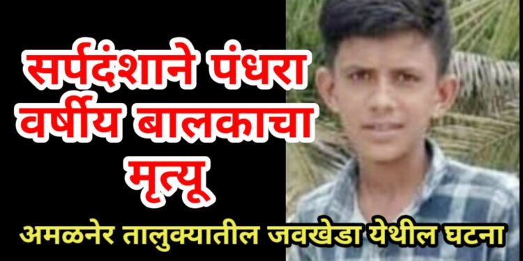 सर्पदंशाने पंधरा वर्षीय बालकाचा मृत्यू