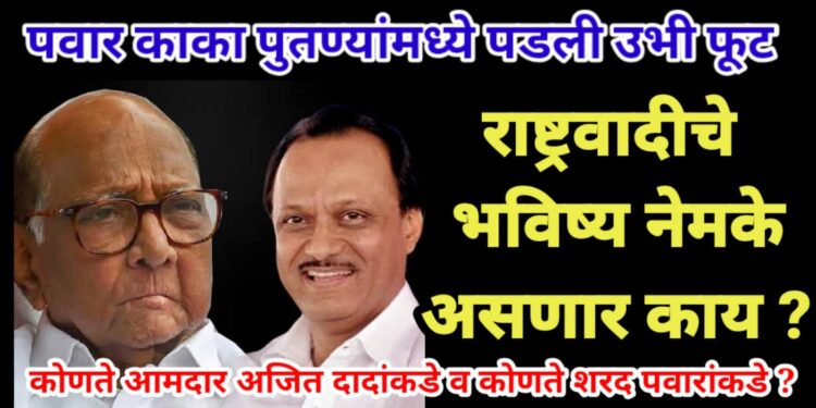 पवार काका पुतण्यांमध्ये पडली उभी फूट, राष्ट्रवादीचे भविष्य नेमके असणार काय ?