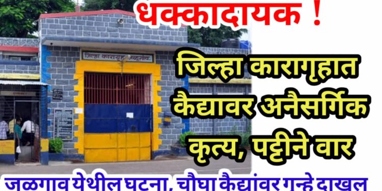 धक्कादायक ! जिल्हा कारागृहात कैद्यावर अनैसर्गिक कृत्य, पट्टीने वार
