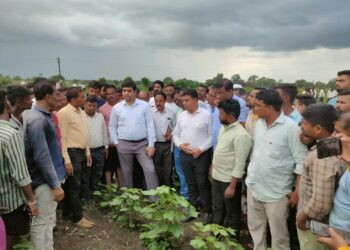  जिल्हाधिकारी अमन मित्तल पोहोचले शेतकऱ्यांच्या बांधावर