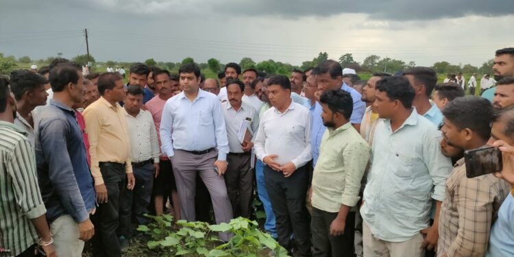  जिल्हाधिकारी अमन मित्तल पोहोचले शेतकऱ्यांच्या बांधावर
