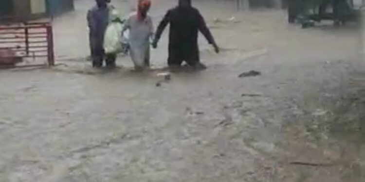 रावेर, मुक्ताईनगर, मलकापूर येथे पावसाचे थैमान, नदी-नाल्यांना पूर