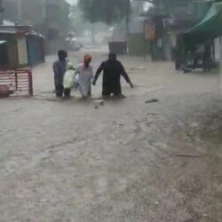 रावेर, मुक्ताईनगर, मलकापूर येथे पावसाचे थैमान, नदी-नाल्यांना पूर