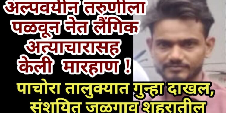 अल्पवयीन तरुणीला पळवून नेत लैंगिक अत्याचारासह केली मारहाण !