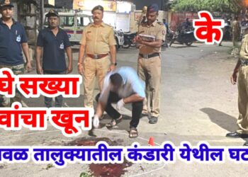 शिवीगाळ केल्यावरून दोन गट भिडले : २ सख्या भावांचा खून, दोघे जखमी !