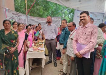 महिला बचत गटांच्या माध्यमातून स्थानिक खेळण्यांना बाजारपेठ उपलब्ध करून देणार