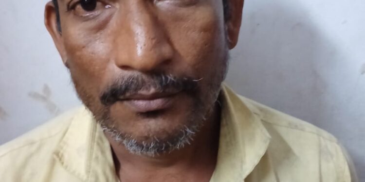 सागर पालवे खूनप्रकरणात आणखी एकाला अटक