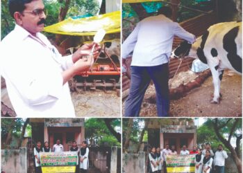 लम्पी त्वचा रोग आणि प्रतिबंधात्मक लसीकरण शिबिराचे डॉ. उल्हास पाटील विदयालयाच्या कृषी कन्यांकडून आयोजन!