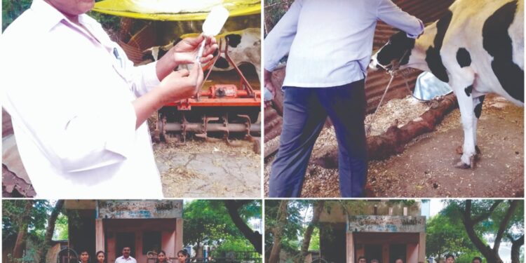 लम्पी त्वचा रोग आणि प्रतिबंधात्मक लसीकरण शिबिराचे डॉ. उल्हास पाटील विदयालयाच्या कृषी कन्यांकडून आयोजन!