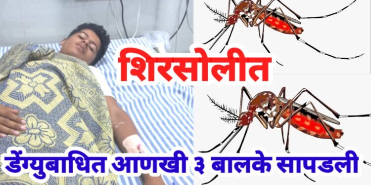 डेंग्युबाधित आणखी ३ बालके सापडली, आशा-अंगणवाडी सेविकांच्या माध्यमातून सर्वेक्षण सुरु