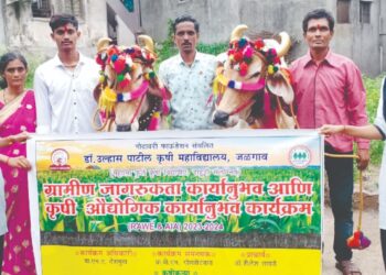 डॉ.उल्हास पाटील कृषि महाविद्यालय कृषि कन्यांनी उत्साहात साजरा केला बैल पोळा