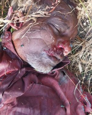 गोदान एक्स्प्रेसच्या खाली आल्याने कामगाराचा जागीच मृत्यू  