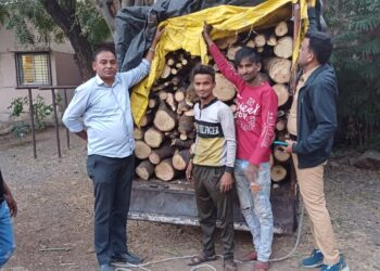 विनापरवाना लाकूड वाहतूक केल्याप्रकरणी गुन्हा दाखल