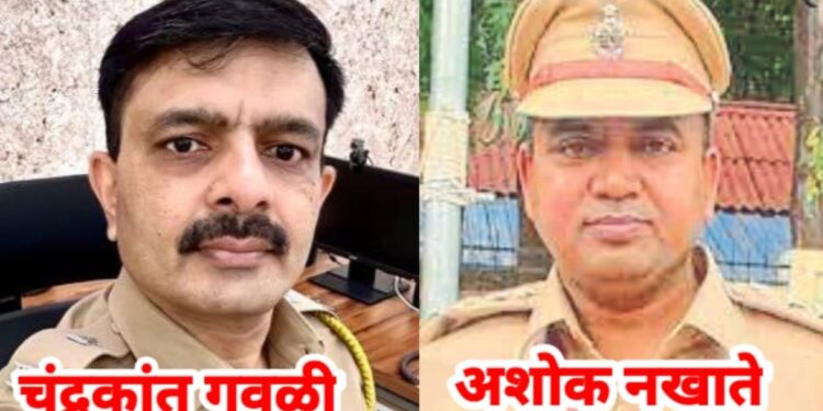 जळगाव जिल्ह्याचे अप्पर पोलीस अधीक्षकपदी अशोक नखाते यांची नियुक्ती