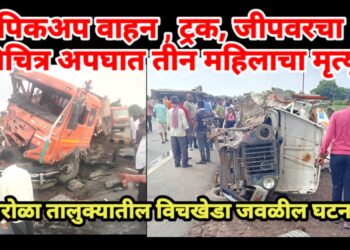 पिकअप वाहन, ट्रक, जीपचा विचित्र भीषण अपघात : तीन महिलांचा मृत्यू