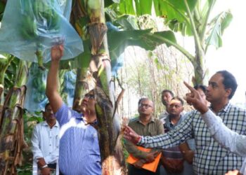 युवा शेतकऱ्यांमध्ये परिवर्तन करण्याची ताकद : कृषी आयुक्त डॉ. प्रविण गेडाम