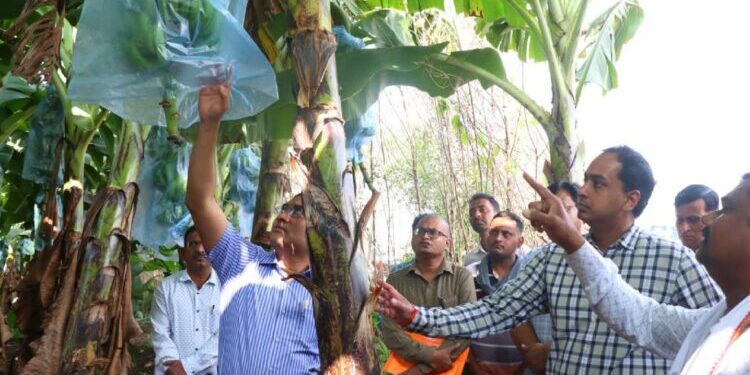 युवा शेतकऱ्यांमध्ये परिवर्तन करण्याची ताकद : कृषी आयुक्त डॉ. प्रविण गेडाम