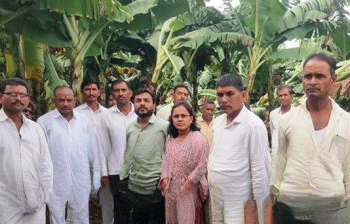 यावल तालुक्यातील २१६ शेतकर्‍यांचे १९८.५ हेक्टरवरील पीक उद्ध्वस्त