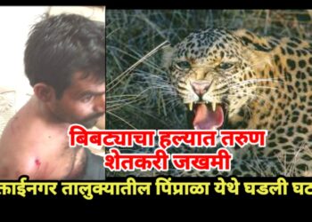 बिबट्याचा हल्ला तरुण शेतकऱ्याने परतवला, रुग्णालयात घेतले उपचार