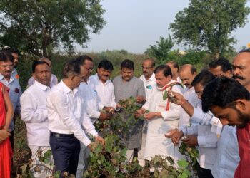 मुक्‍ताईनगर तालुक्यातील नुकसानग्रस्त भागाची काँग्रेस प्रदेश उपाध्यक्षांकडून पाहणी 