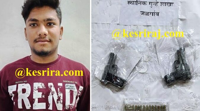 दोन पिस्तूल, जिवंत काडतुसांसह तरुणाला घेतले ताब्यात