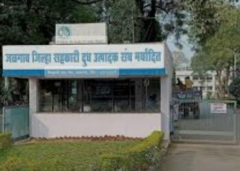 जळगाव दूध फेडरेशनमध्ये नोकरी लावण्याचे आमिष, तरुणाला साडेतेरा लाखात गंडवले !