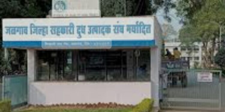 जळगाव दूध फेडरेशनमध्ये नोकरी लावण्याचे आमिष, तरुणाला साडेतेरा लाखात गंडवले !