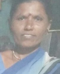 अपघातात जखमी शेतकरी महिलेचा उपचारादरम्यान मृत्यू