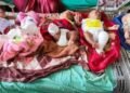 ‘नाट्यकलेचा जागर’ स्पर्धा महोत्सवाचे जळगाव केंद्रावरील निकाल जाहीर