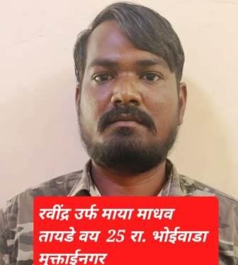 मुक्ताईनगरच्या गुन्हेगारावर “एमपीडीए” कारवाई