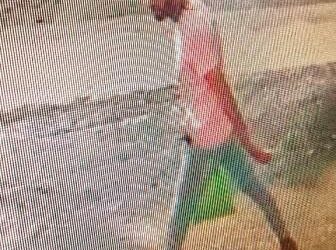 चोरट्यांचे धाडस वाढले, भरदिवसा तीन लाखांचा मुद्देमाल लंपास