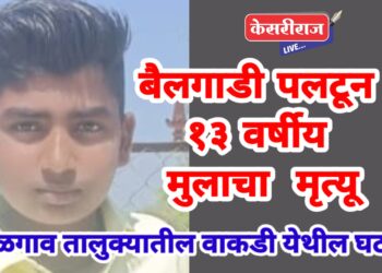 बैलगाडी पलटून दबल्याने १३ वर्षीय मुलाचा करुण अंत