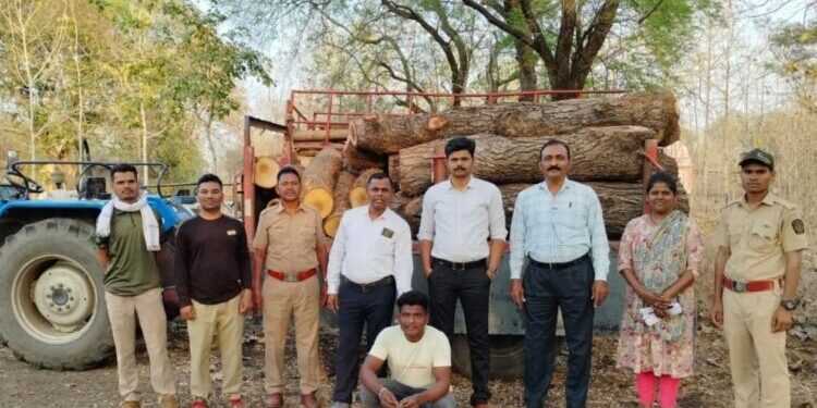अवैध लाकूड वाहतूक करणाऱ्या तरुणाला अटक