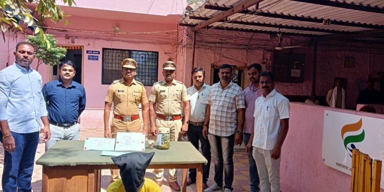 पाचोरा शहरात भांगेच्या वड्या घेऊन फिरणाऱ्या तरुणाला अटक