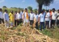 प्रचार सोडून उमेदवार करण पाटील पोहचले नुकसानग्रस्त शेतकऱ्यांच्या शेतात