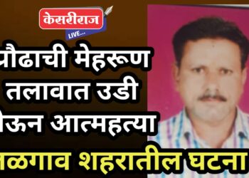 प्रौढाची मेहरूण तलावात उडी घेऊन आत्महत्या
