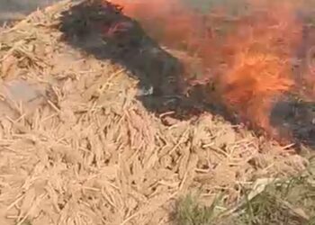 महावितरणाच्या दुर्लक्षामुळे शेतकऱ्याचे लाखो रुपयांचे नुकसान