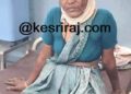 शेतकरी महिलेवर शेतात रानडुकराने केला हल्ला, गंभीर जखमी