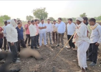 शेकडो मेंढया दगावल्या, उष्माघाताचा संशय ?  